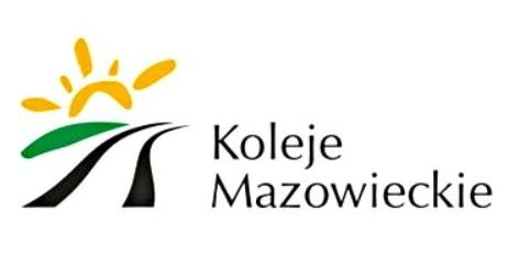 Ankietowanie podróżnych