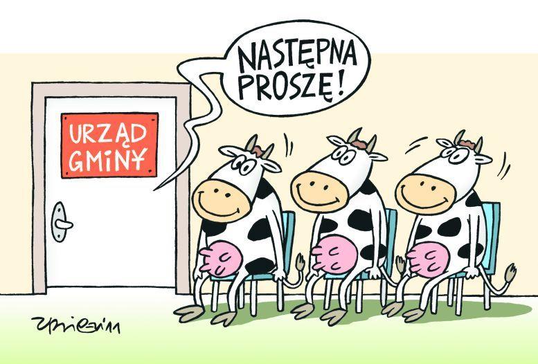 Władza z cyckiem w ręku...