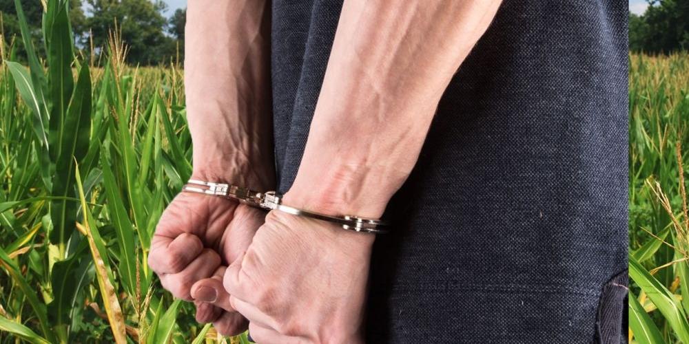 Zakuty w kajdanki uciekł policjantom