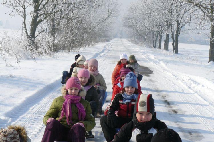 Zuchy na śnieżnej trasie