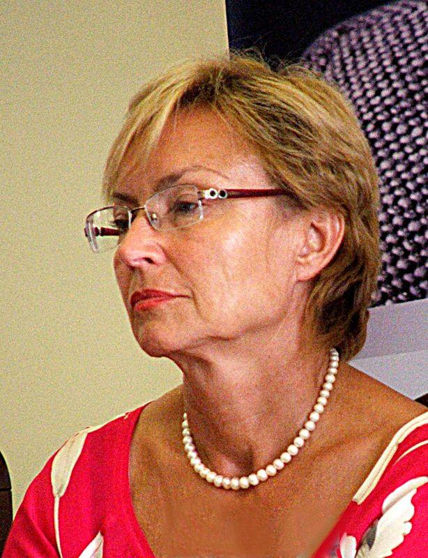 Europarlamentarne otwarcie