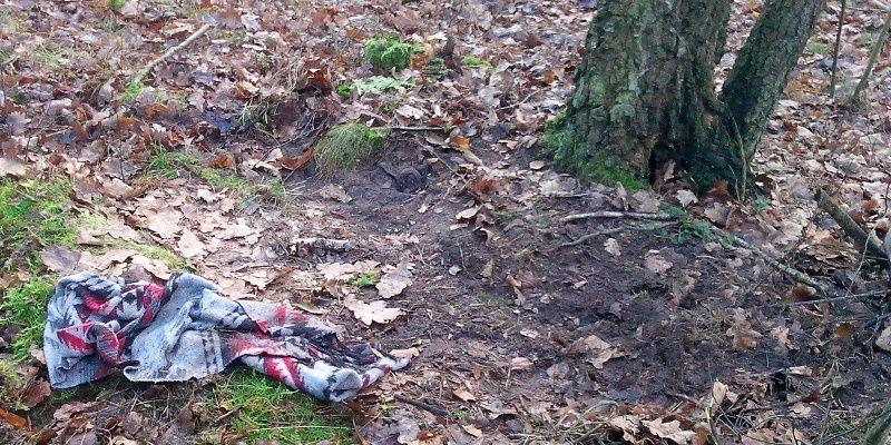 Przemoczona, wyziębiona mieszkała w lesie