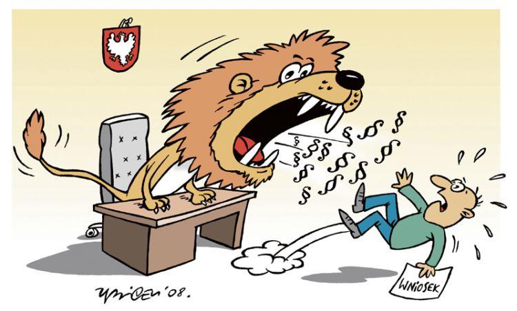 Lew się obudził...