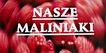 Malinowo w Sobisce