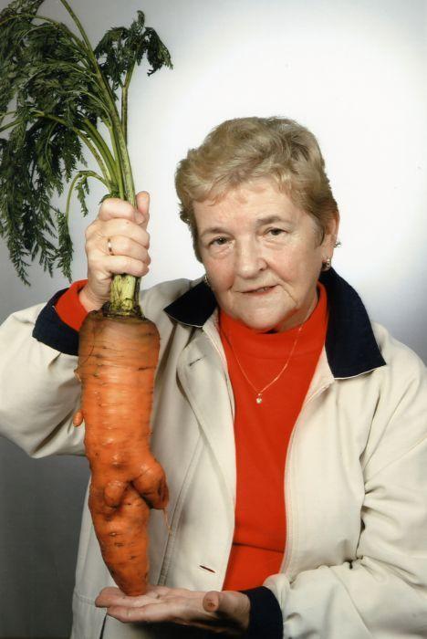 Marchew gigant