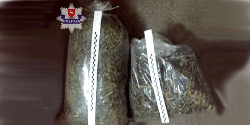 Gmina Stanin: Marihuana pod podłogą