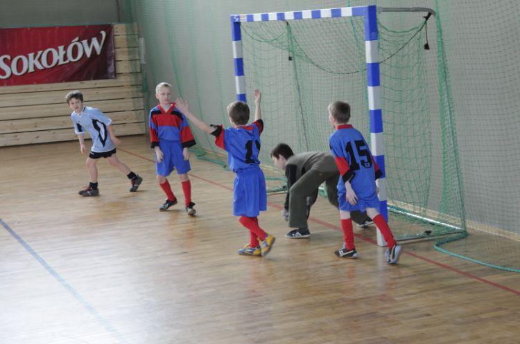 Sokolik 2008