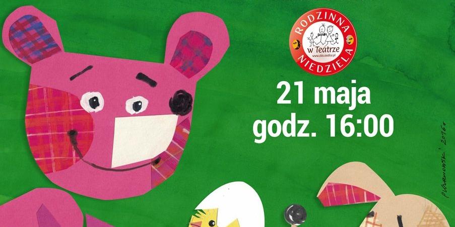 Pies – najwierniejszy przyjaciel misia