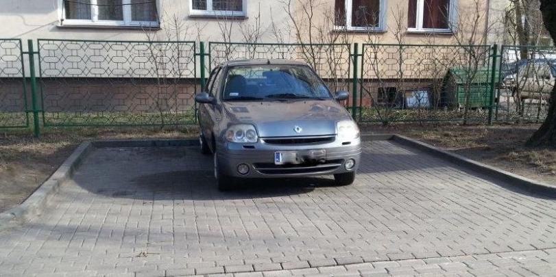Mistrz parkowania