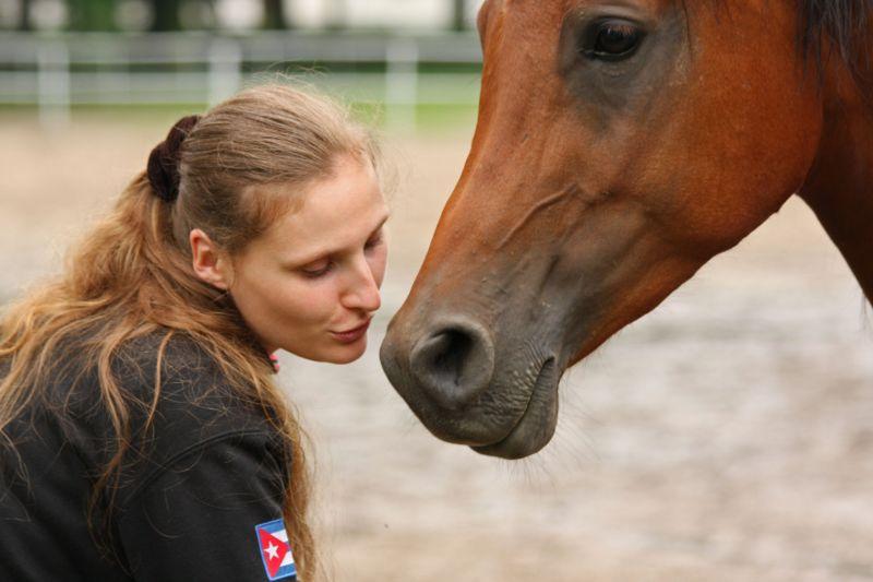 Araby, urokliwe chatki i portrety 