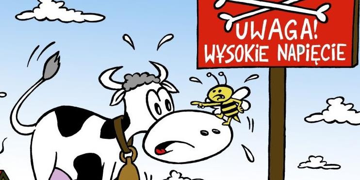 Sąsiedzi