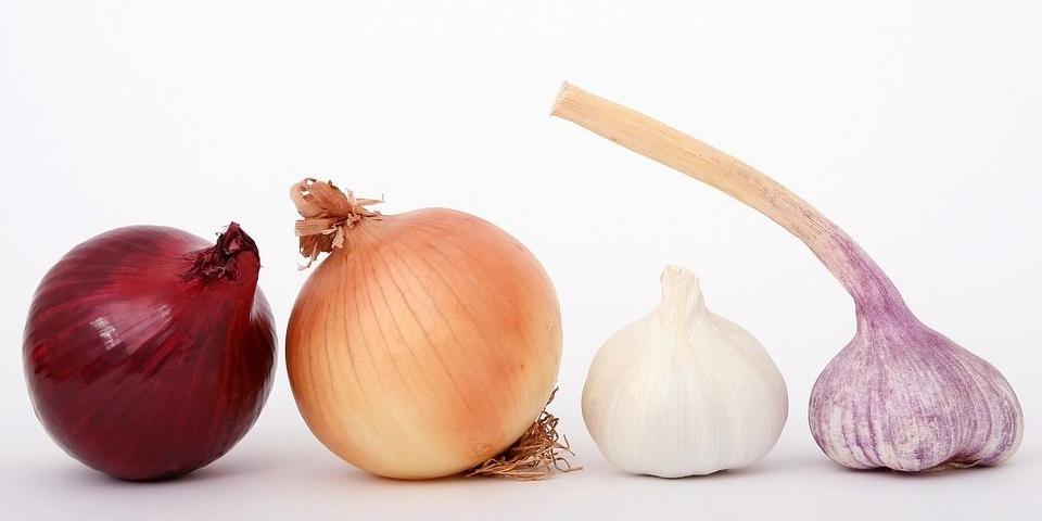 Nieprzyjemny zapach w pomieszczeniu lub aucie? Pozbądź się go dzięki ozonowaniu
