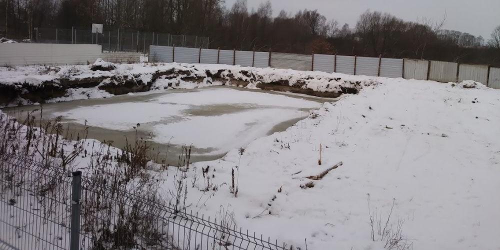 Nowy Świat bez drzew?