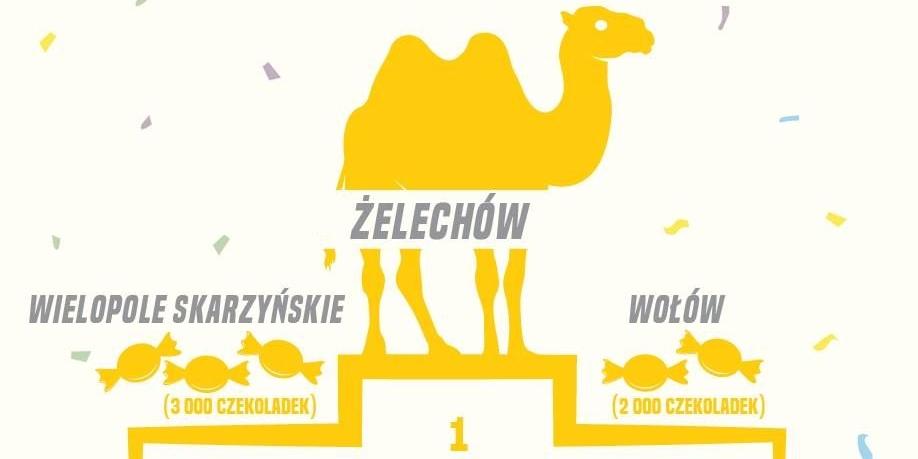 Wielbłąd przyjedzie do Żelechowa