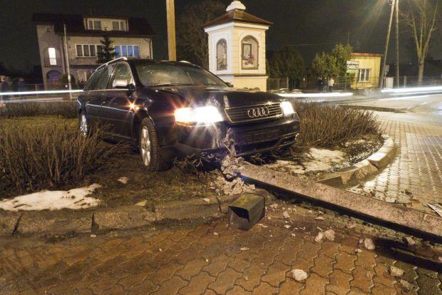 Audi na klombie