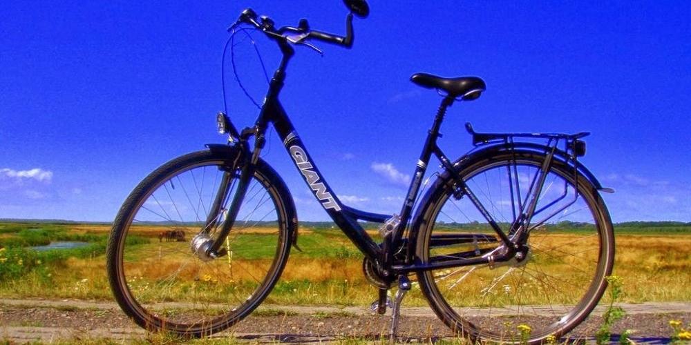 Nietrzeźwy peleton