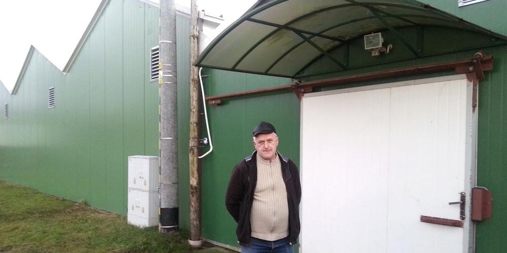 Zamiast pieczarek rosną długi