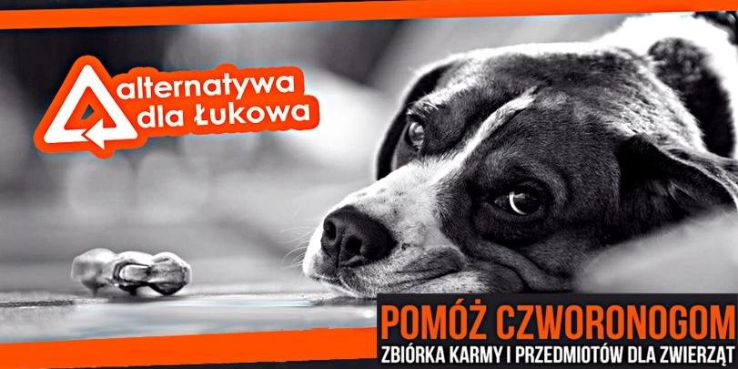 Z pomocą dla czworonożnych przyjaciół