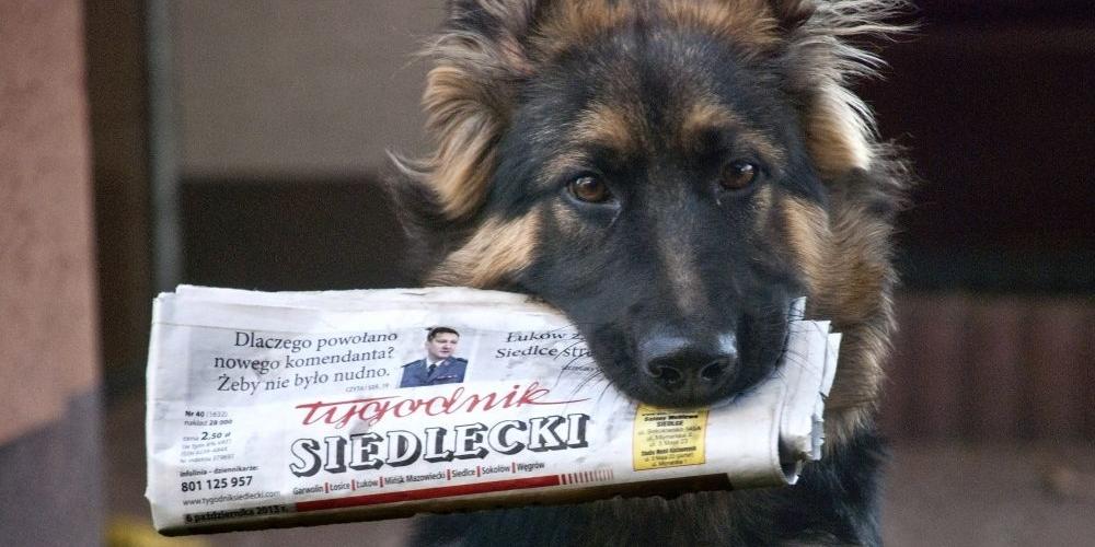 Nowy „TS”  czeka na Ciebie!