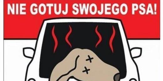 Uwaga na upały!