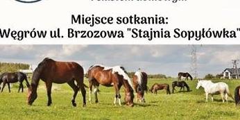Piknik w Sopyłówce