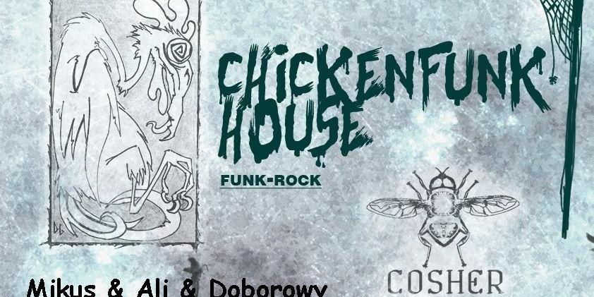 Funk-rock, grunge i hip-hop w PeHa