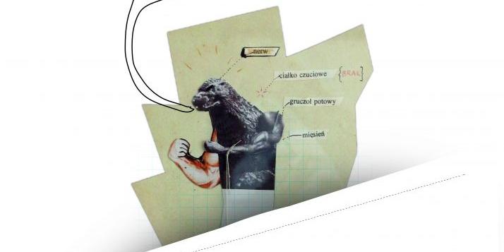Anatomia według Maćka