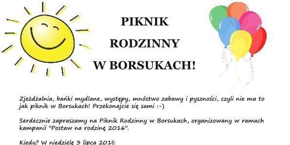 Piknik rodzinny w Borsukach