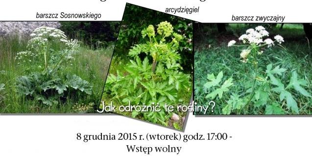 O barszczu w bibliotece