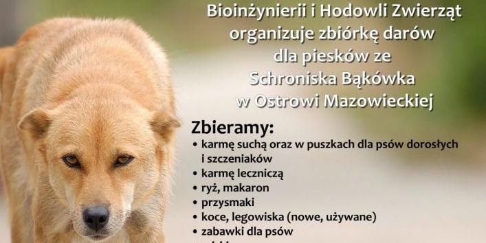 Zbiórka dla psów