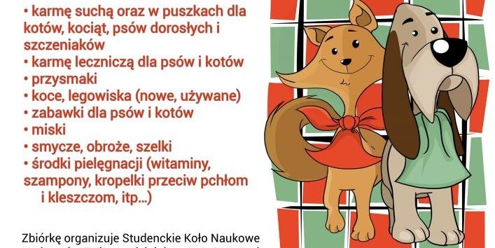 Zbiórka darów dla bezdomnych psów i kotów