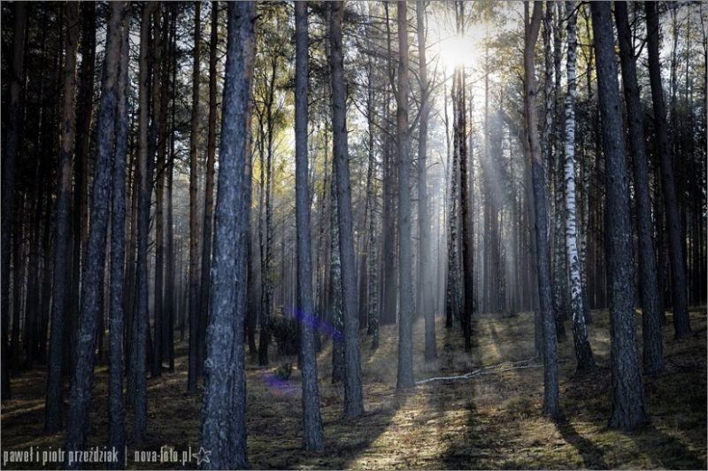 Fotołowy w „Jacie”