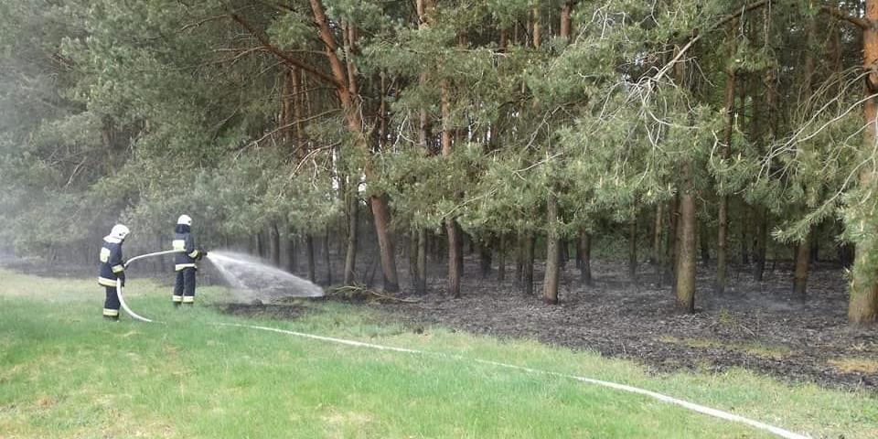 Pożar ściółki leśnej w gminie Wiśniew