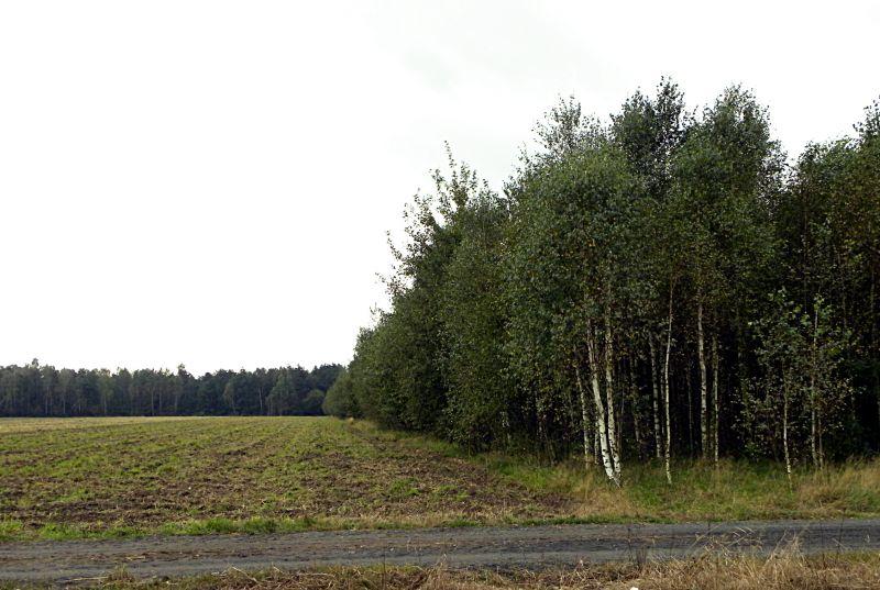 Strata nerwów, ziemi i pieniędzy