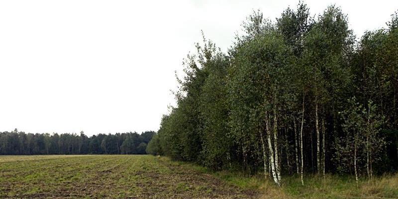 40 mundurowych szukało grzybiarki
