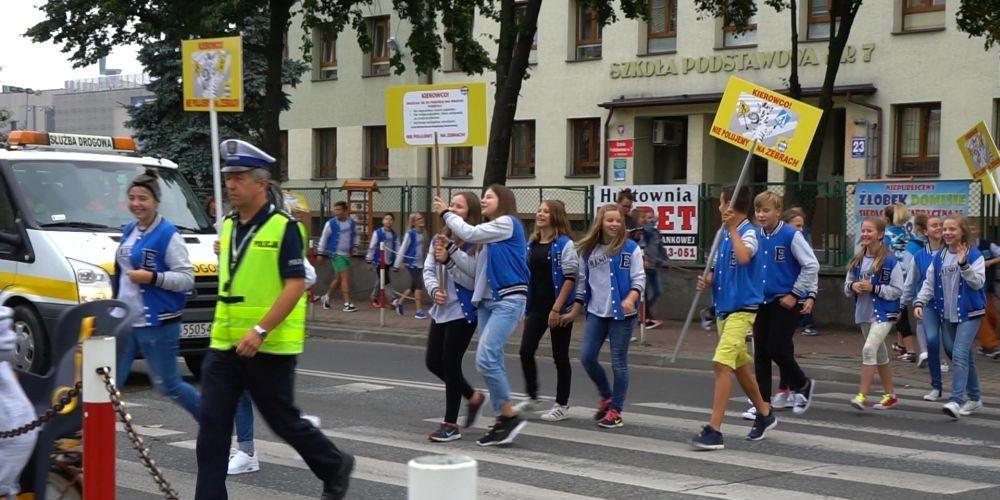Kierowco, nie polujemy na zebrach!