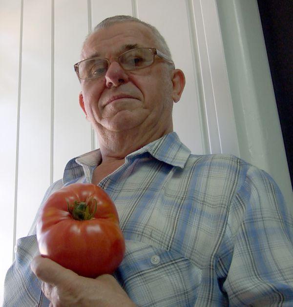 Pomidor gigant