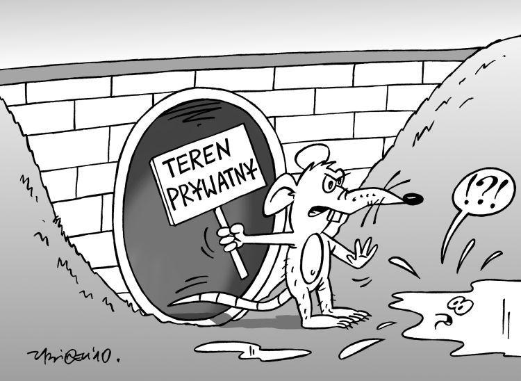 Droga  niczym potok