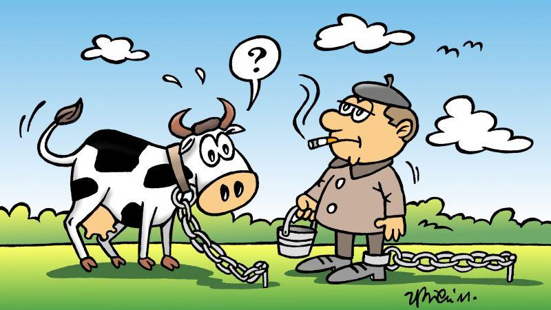 Przywiązany do ziemi…