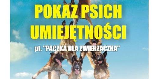 Pokaz psich umiejętności w Łukowie
