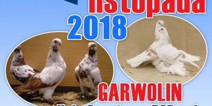 Na gołębie do Garwolina