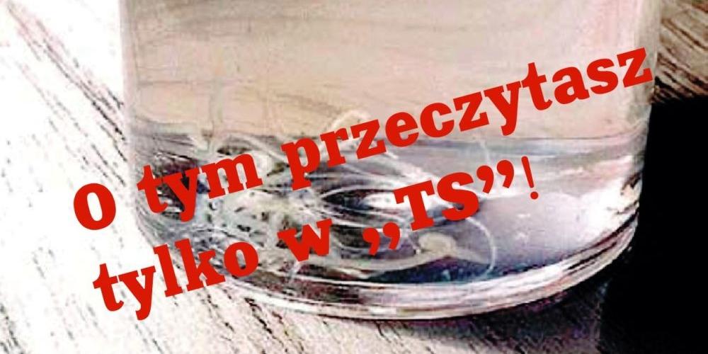 Zobacz, co mogą przenosić komary!