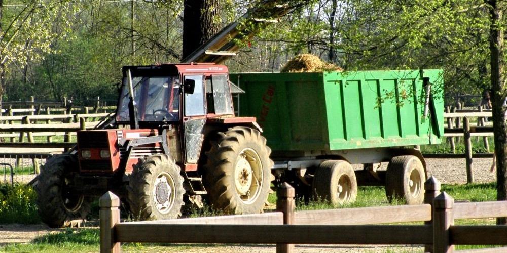 Samochodem osobowym... W przyczepę z sianem