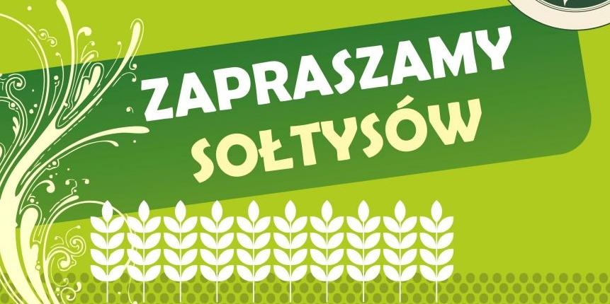 Sołtysi i Kalinowski