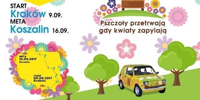 Rajd w obronie pszczół