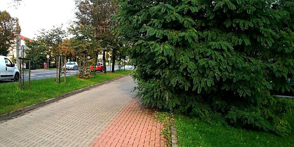 Siedlce dla rowerzystów