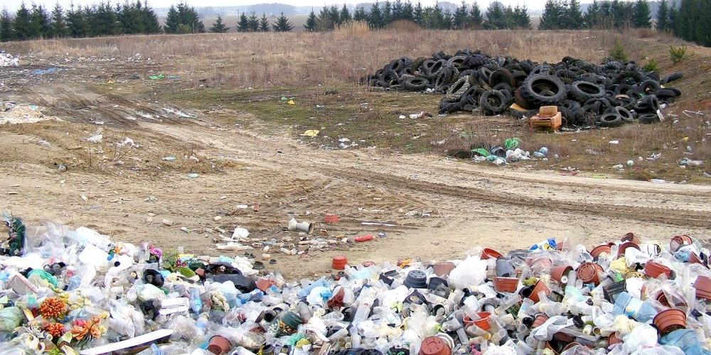 Niedźwiadka drży przed Adamkami