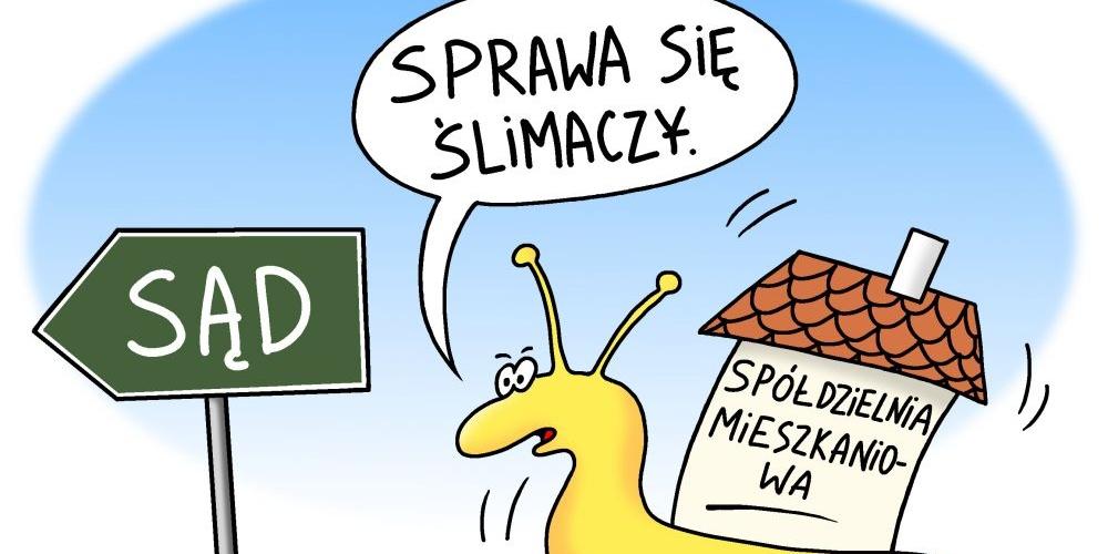 Sąd ocenia spółdzielców
