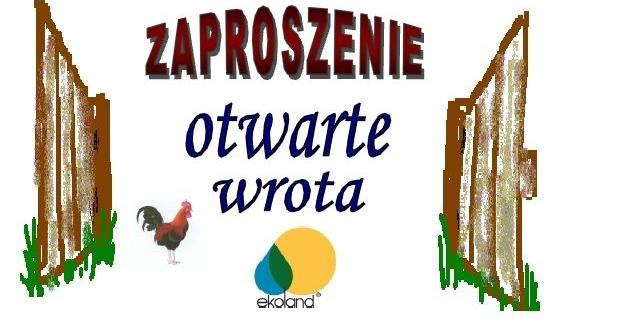 Otwarte Wrota w Stasinie