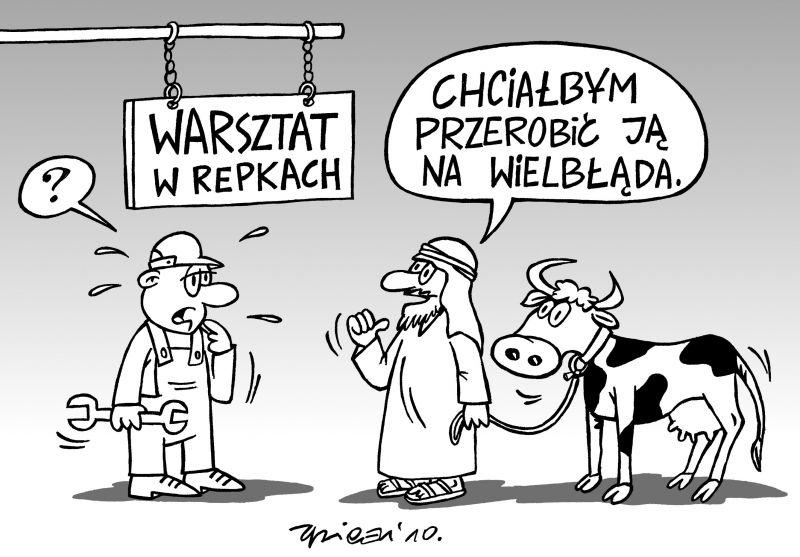 Sokołowscy szejkowie  już zacierają ręce